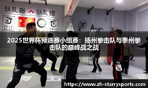 2025世界杯预选赛小组赛:扬州拳击队与泰州拳击队的巅峰战之战
